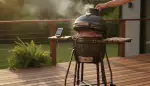 Kugelgrill: Die Kunst der Temperaturkontrolle